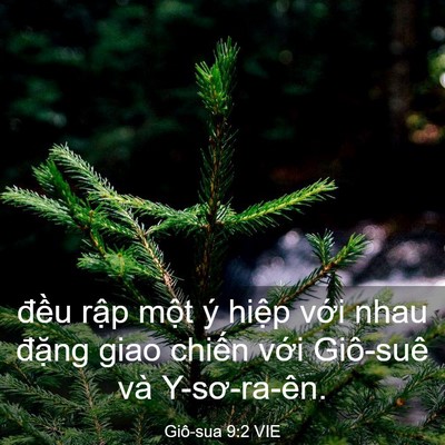 Picture 03 - Giô-sua 9:2 VIE - đều rập một ý hiệp với nhau đặng - Bible Verse Picture