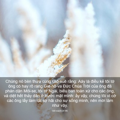 Picture 03 - Giô-sua 9:24 VIE - Chúng nó bèn thưa cùng Giô-suê rằng: - Bible Verse Picture