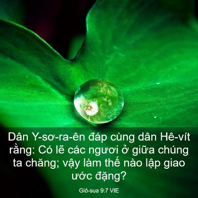 Picture 03 - Giô-sua 9:7 VIE - Dân Y-sơ-ra-ên đáp cùng dân Hê-vít - Bible Verse Picture