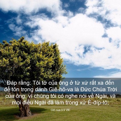 Picture 03 - Giô-sua 9:9 VIE - Đáp rằng: Tôi tớ của ông ở từ xứ - Bible Verse Picture