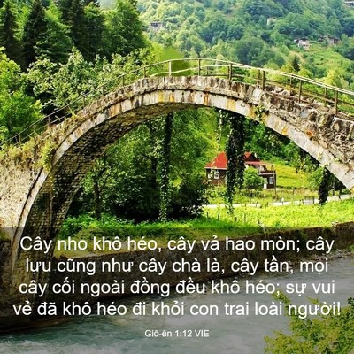 Picture 03 - Giô-ên 1:12 VIE - Cây nho khô héo, cây vả hao mòn; cây - Bible Verse Picture
