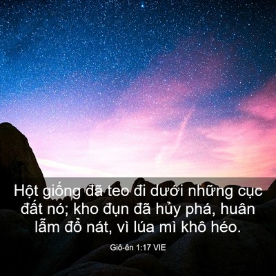 Picture 03 - Giô-ên 1:17 VIE - Hột giống đã teo đi dưới những cục - Bible Verse Picture