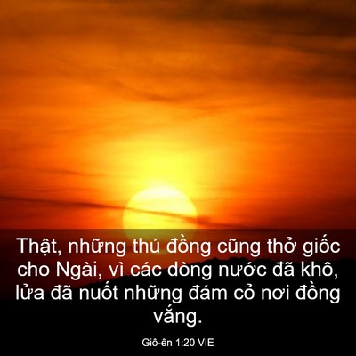 Picture 03 - Giô-ên 1:20 VIE - Thật, những thú đồng cũng thở giốc - Bible Verse Picture