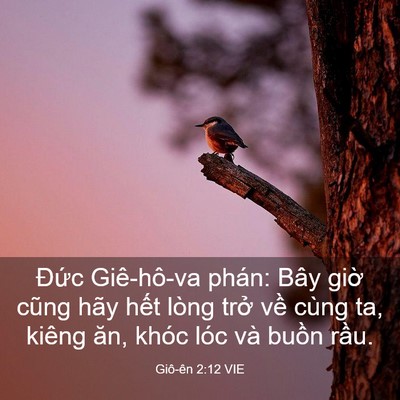 Picture 03 - Giô-ên 2:12 VIE - Đức Giê-hô-va phán: Bây giờ cũng hãy - Bible Verse Picture