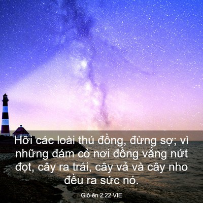 Picture 03 - Giô-ên 2:22 VIE - Hỡi các loài thú đồng, đừng sợ; vì - Bible Verse Picture