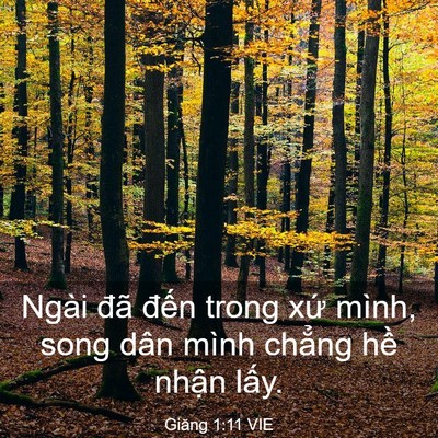 Picture 03 - Giăng 1:11 VIE - Ngài đã đến trong xứ mình, song dân - Bible Verse Picture
