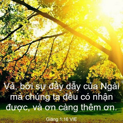 Picture 03 - Giăng 1:16 VIE - Vả, bởi sự đầy dẫy của Ngài mà - Bible Verse Picture