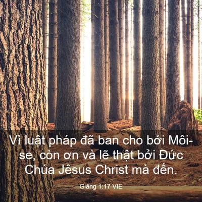 Picture 03 - Giăng 1:17 VIE - Vì luật pháp đã ban cho bởi Môi-se, còn - Bible Verse Picture