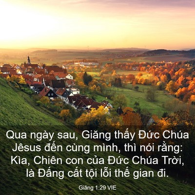 Picture 03 - Giăng 1:29 VIE - Qua ngày sau, Giăng thấy Đức Chúa Jêsus - Bible Verse Picture