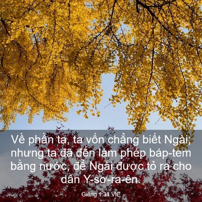 Picture 03 - Giăng 1:31 VIE - Về phần ta, ta vốn chẳng biết Ngài; - Bible Verse Picture