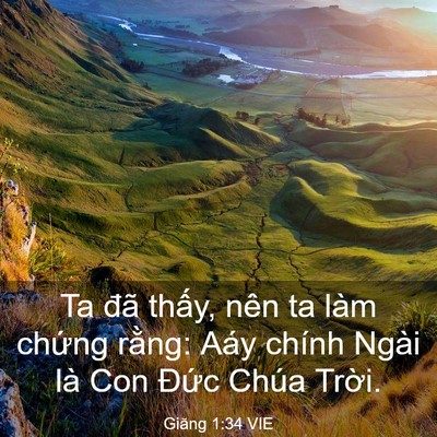 Picture 03 - Giăng 1:34 VIE - Ta đã thấy, nên ta làm chứng rằng: Aáy - Bible Verse Picture