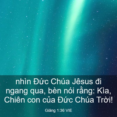 Picture 03 - Giăng 1:36 VIE - nhìn Đức Chúa Jêsus đi ngang qua, bèn - Bible Verse Picture