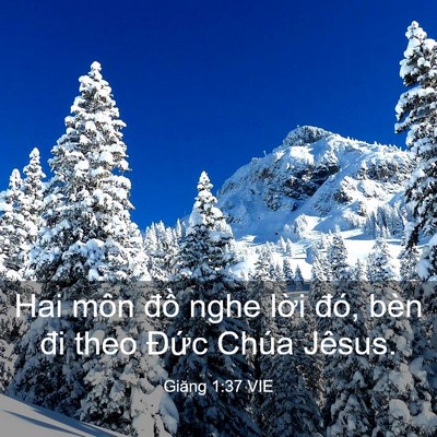 Picture 03 - Giăng 1:37 VIE - Hai môn đồ nghe lời đó, bèn đi theo - Bible Verse Picture