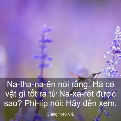 Picture 03 - Giăng 1:46 VIE - Na-tha-na-ên nói rằng: Há có vật gì - Bible Verse Picture