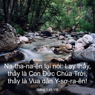 Picture 03 - Giăng 1:49 VIE - Na-tha-na-ên lại nói: Lạy thầy, thầy - Bible Verse Picture