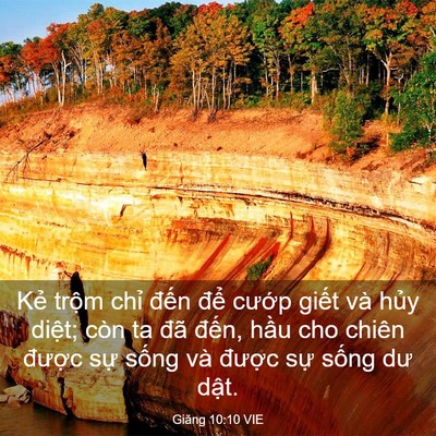 Picture 03 - Giăng 10:10 VIE - Kẻ trộm chỉ đến để cướp giết và - Bible Verse Picture