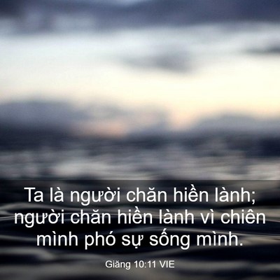 Picture 03 - Giăng 10:11 VIE - Ta là người chăn hiền lành; người - Bible Verse Picture
