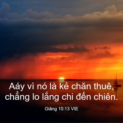 Picture 03 - Giăng 10:13 VIE - Aáy vì nó là kẻ chăn thuê, chẳng lo - Bible Verse Picture