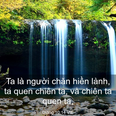 Picture 03 - Giăng 10:14 VIE - Ta là người chăn hiền lành, ta quen - Bible Verse Picture