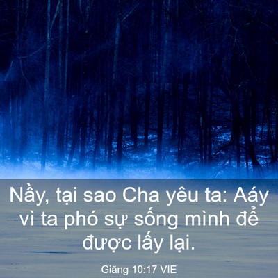 Picture 03 - Giăng 10:17 VIE - Nầy, tại sao Cha yêu ta: Aáy vì ta phó - Bible Verse Picture