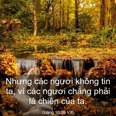 Picture 03 - Giăng 10:26 VIE - Nhưng các ngươi không tin ta, vì các - Bible Verse Picture