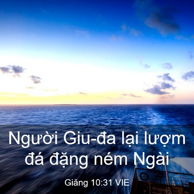 Picture 03 - Giăng 10:31 VIE - Người Giu-đa lại lượm đá đặng ném - Bible Verse Picture
