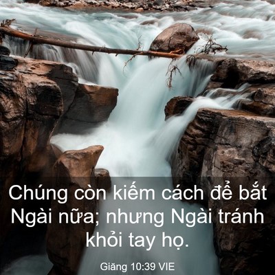 Picture 03 - Giăng 10:39 VIE - Chúng còn kiếm cách để bắt Ngài nữa; - Bible Verse Picture