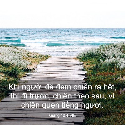 Picture 03 - Giăng 10:4 VIE - Khi người đã đem chiên ra hết, thì đi - Bible Verse Picture