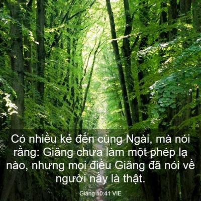 Picture 03 - Giăng 10:41 VIE - Có nhiều kẻ đến cùng Ngài, mà nói - Bible Verse Picture