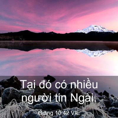 Picture 03 - Giăng 10:42 VIE - Tại đó có nhiều người tin - Bible Verse Picture