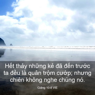 Picture 03 - Giăng 10:8 VIE - Hết thảy những kẻ đã đến trước ta - Bible Verse Picture