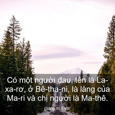 Picture 03 - Giăng 11:1 VIE - Có một người đau, tên là La-xa-rơ, ở - Bible Verse Picture
