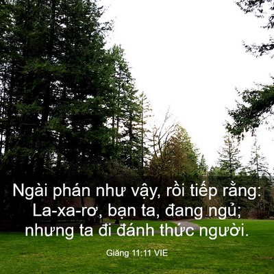 Picture 03 - Giăng 11:11 VIE - Ngài phán như vậy, rồi tiếp rằng: - Bible Verse Picture