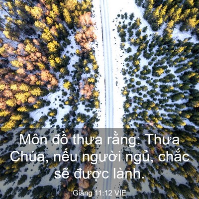 Picture 03 - Giăng 11:12 VIE - Môn đồ thưa rằng: Thưa Chúa, nếu - Bible Verse Picture