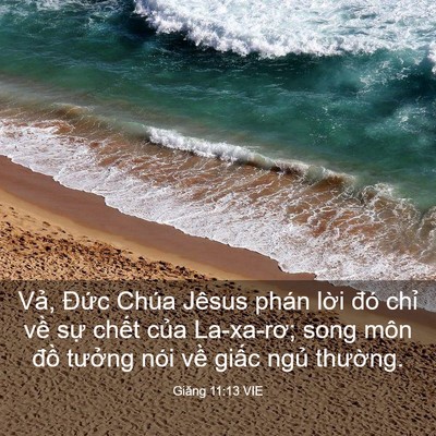 Picture 03 - Giăng 11:13 VIE - Vả, Đức Chúa Jêsus phán lời đó chỉ - Bible Verse Picture