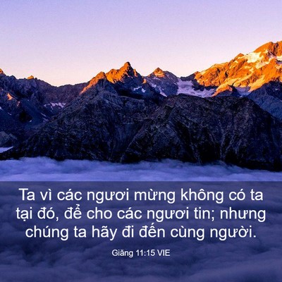 Picture 03 - Giăng 11:15 VIE - Ta vì các ngươi mừng không có ta tại - Bible Verse Picture