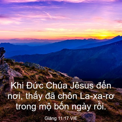 Picture 03 - Giăng 11:17 VIE - Khi Đức Chúa Jêsus đến nơi, thấy đã - Bible Verse Picture