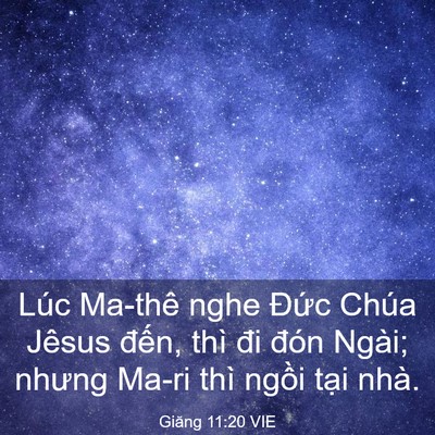 Picture 03 - Giăng 11:20 VIE - Lúc Ma-thê nghe Đức Chúa Jêsus đến, - Bible Verse Picture