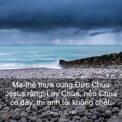 Picture 03 - Giăng 11:21 VIE - Ma-thê thưa cùng Đức Chúa Jêsus rằng: - Bible Verse Picture