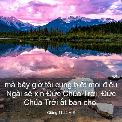 Picture 03 - Giăng 11:22 VIE - mà bây giờ tôi cụng biết mọi điều - Bible Verse Picture