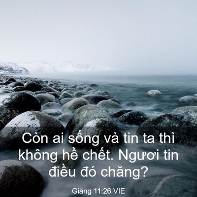 Picture 03 - Giăng 11:26 VIE - Còn ai sống và tin ta thì không hề - Bible Verse Picture