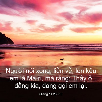 Picture 03 - Giăng 11:28 VIE - Người nói xong, liền về, lén kêu em là - Bible Verse Picture