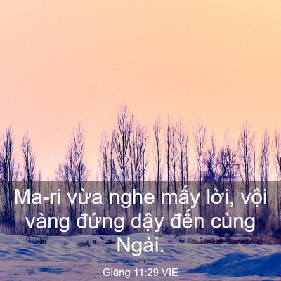 Picture 03 - Giăng 11:29 VIE - Ma-ri vừa nghe mấy lời, vội vàng đứng - Bible Verse Picture