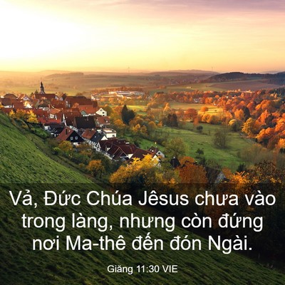 Picture 03 - Giăng 11:30 VIE - Vả, Đức Chúa Jêsus chưa vào trong làng, - Bible Verse Picture