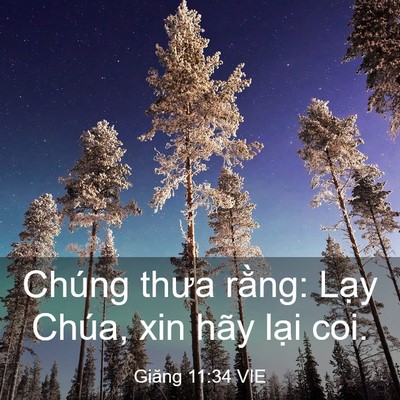 Picture 03 - Giăng 11:34 VIE - Chúng thưa rằng: Lạy Chúa, xin hãy lại - Bible Verse Picture