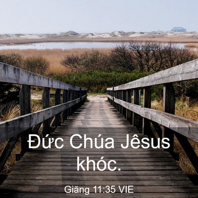 Picture 03 - Giăng 11:35 VIE - Đức Chúa Jêsus - Bible Verse Picture