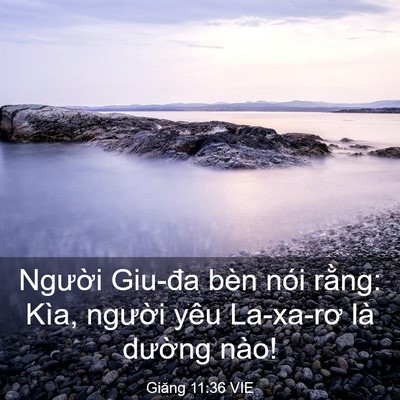 Picture 03 - Giăng 11:36 VIE - Người Giu-đa bèn nói rằng: Kìa, người - Bible Verse Picture