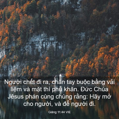 Picture 03 - Giăng 11:44 VIE - Người chết đi ra, chân tay buộc bằng - Bible Verse Picture