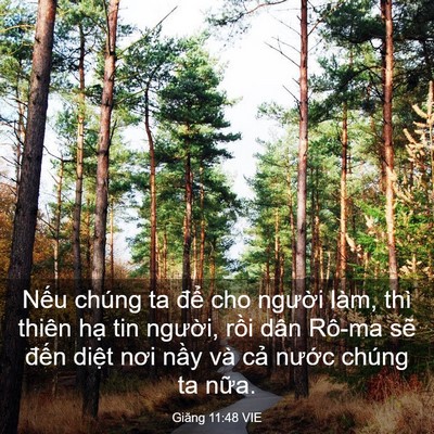 Picture 03 - Giăng 11:48 VIE - Nếu chúng ta để cho người làm, thì - Bible Verse Picture