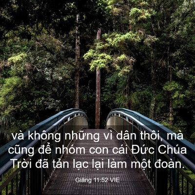 Picture 03 - Giăng 11:52 VIE - và không những vì dân thôi, mà cũng - Bible Verse Picture